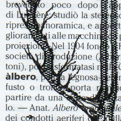 Alberi | image